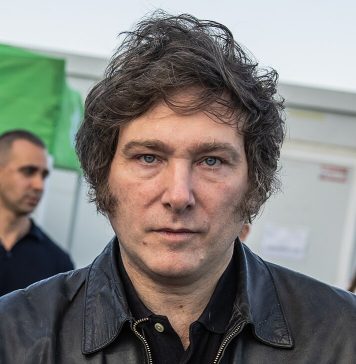 The Phenomenon of Javier Milei in Context