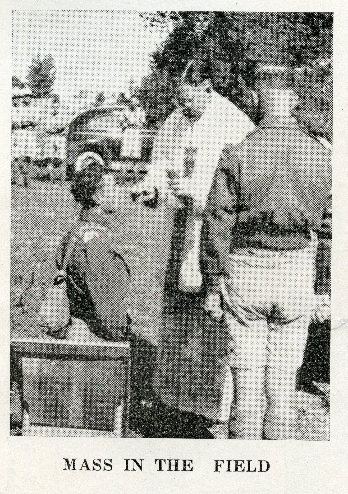 Mass in the field