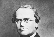 Gregor Mendel: Abbot and Father of Genetics