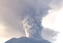 Rumblings in the Jungle