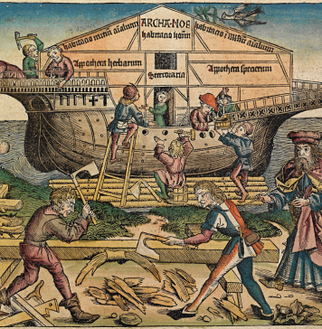 Noah’s Ark as Spaceship