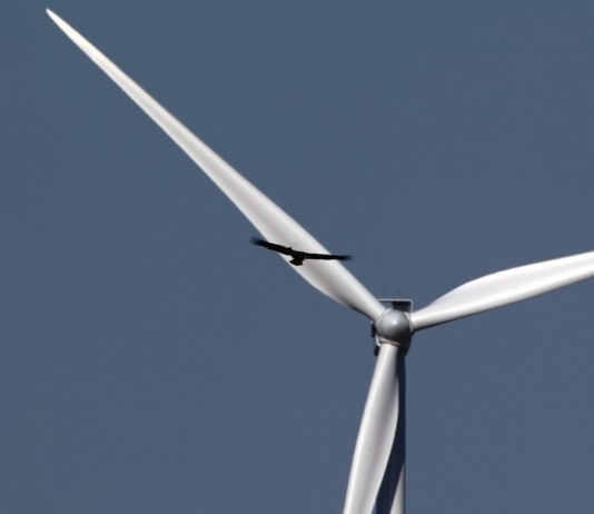 Ontario’s Paradise Lost