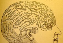 6000 Thoughts A Day: What to Do with Them All?