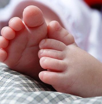 What Is Life, Really?