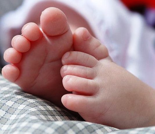 What Is Life, Really?