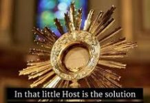 Contemporary Despair and Misplaced Hopes