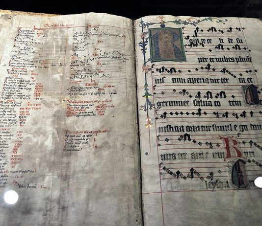 Gaudete: Rejoice the Lord is Near