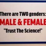 Two Genders