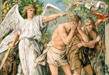 Impurity and Self-Idolatry