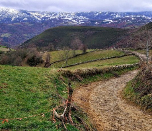 The Way of the Lord Jesus