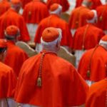 Cardinals, Climate and McCarrick