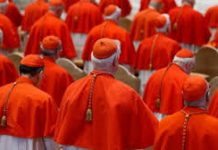Cardinals, Climate and McCarrick