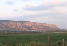 Climbing the Mountain of Carmel: What is Carmelite Theology?