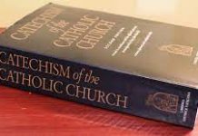 Contra Cardinal McElroy’s Moral Muddle