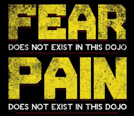 Cobra Kai: A Nostalgic Adventure