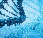 The Normality of Modification: Might CRISPR Be a Possible ‘Cure’ for Down Syndrome?