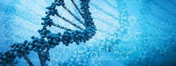 The Question of ‘Bioethics’