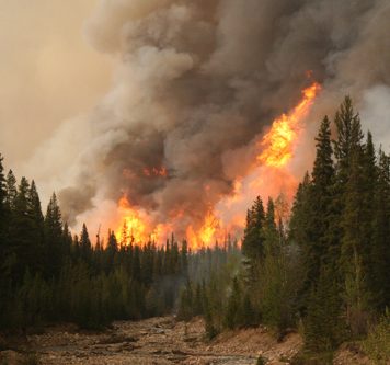 Forest Fires’ Footprint