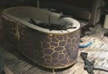 Weirdness of Vegas and Wildness of Catalonia