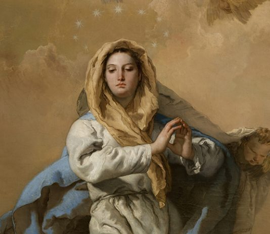 I am the Immaculate Conception