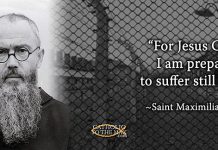 Pope John Paul II at Auschwitz: Lessons of Kolbe