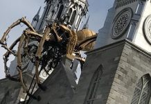 Of Irenicism and Arachnids