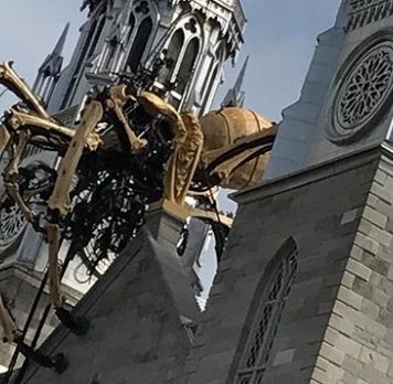 Of Irenicism and Arachnids