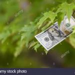 What Happens If the Money Runs Out?