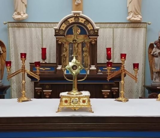 A Reflection on the suspension of Sunday Masses on the Third Sunday in Lent, March 15, 2020