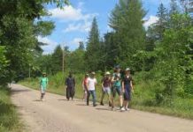 The Who, What, and Why of “Walk the Opeongo Line”