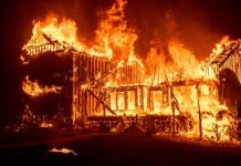 Paradise Lost, but All is Not