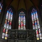 The Purpose of Beauty