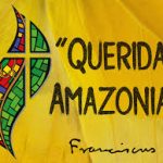 Whither and Whence, Amazonia?