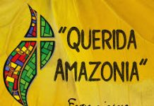 Whither and Whence, Amazonia?