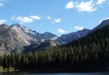 A Politically Correct Poem