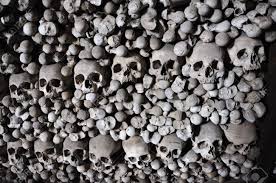 sedlec ossuary skulls