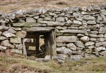 Twenty-First Sunday: Entering By the Narrow Gate to Find True Freedom