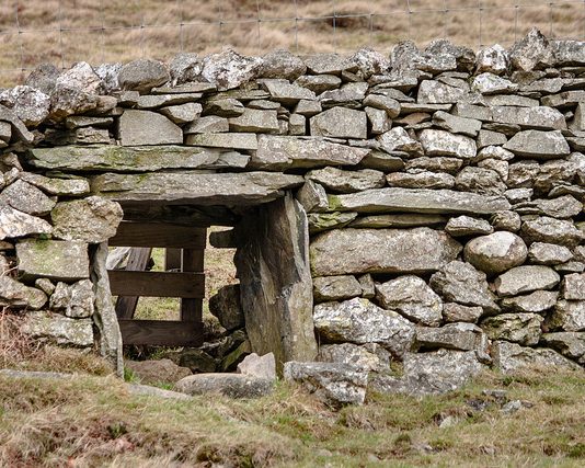 Twenty-First Sunday: Entering By the Narrow Gate to Find True Freedom