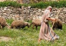 Good Shepherd Sunday