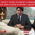 The Liberal Abortion Box