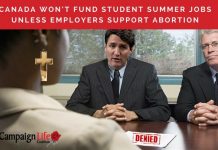 The Liberal Abortion Box